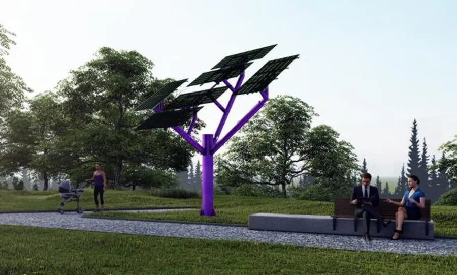 Park içinde güneş ağacı ve oturma alanı